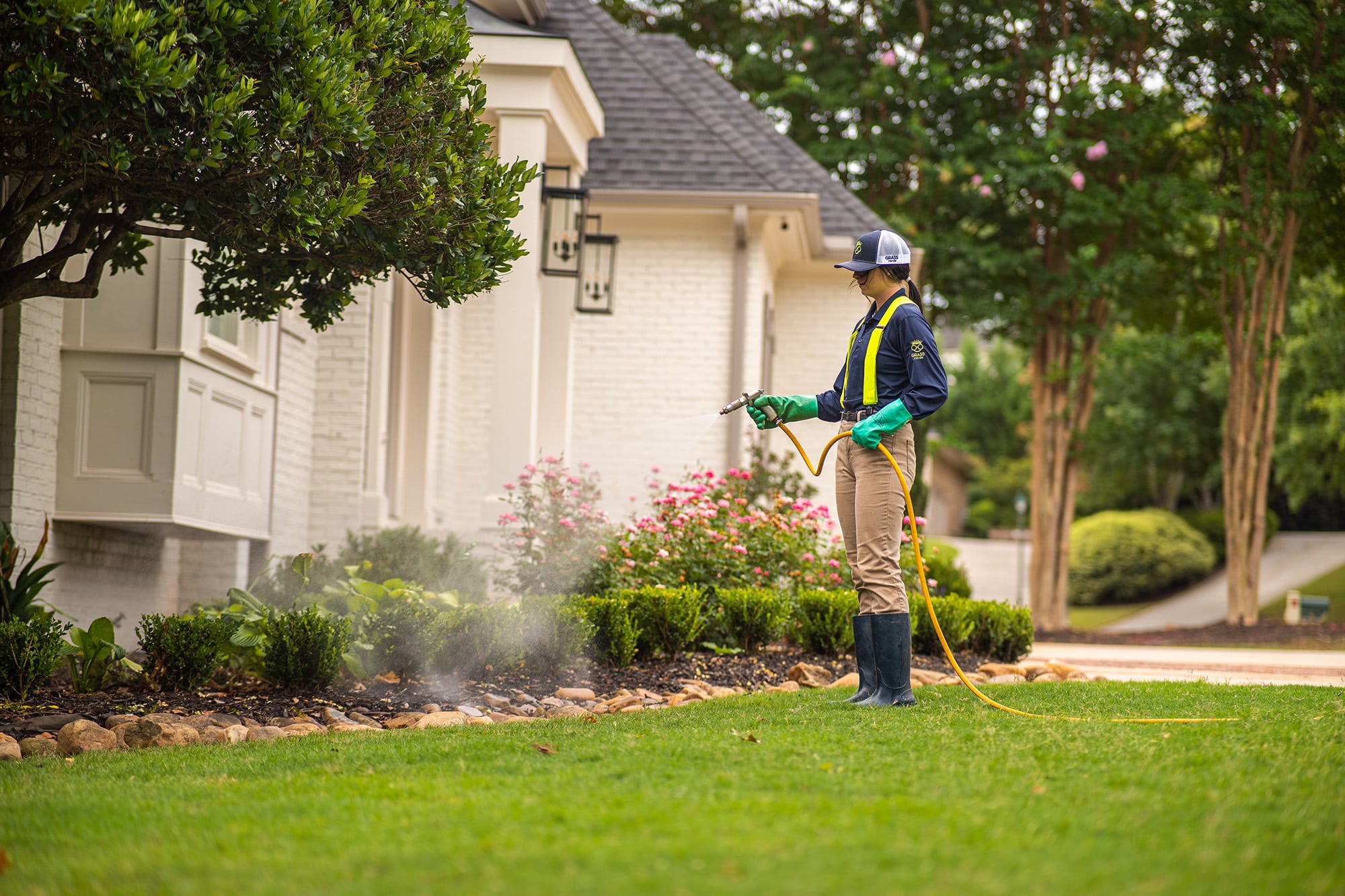 Shrub Care in Greenville, SC - Grass Nerds