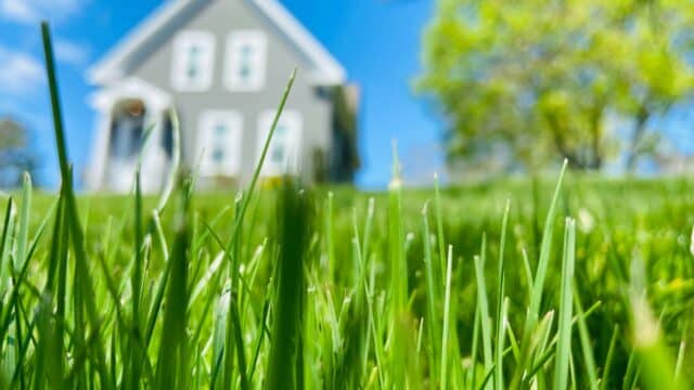 should-you-overseed-your-Greenville-sc-lawn-in-the-spring-or-fall